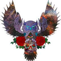 owl owl